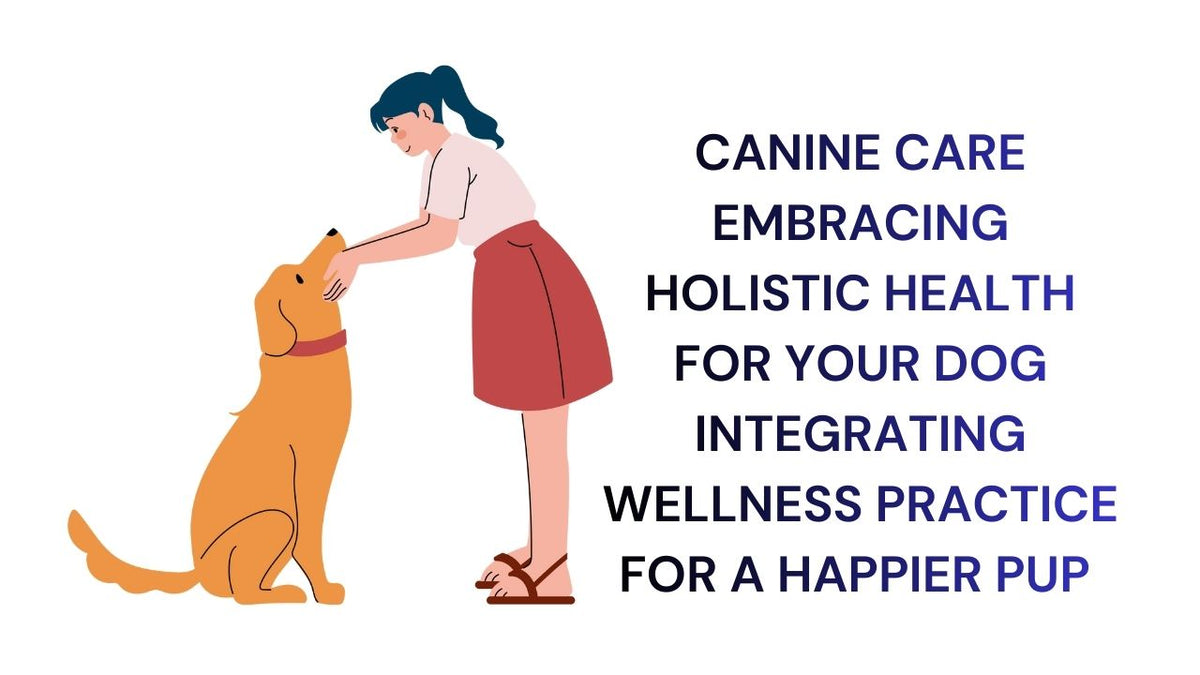 Holistic Canine Care
