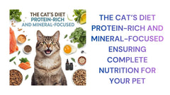 Complete Cat Nutrition Protein & Minerals Guide