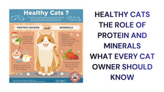 Healthy Cats The Importance of Protein and Minerals