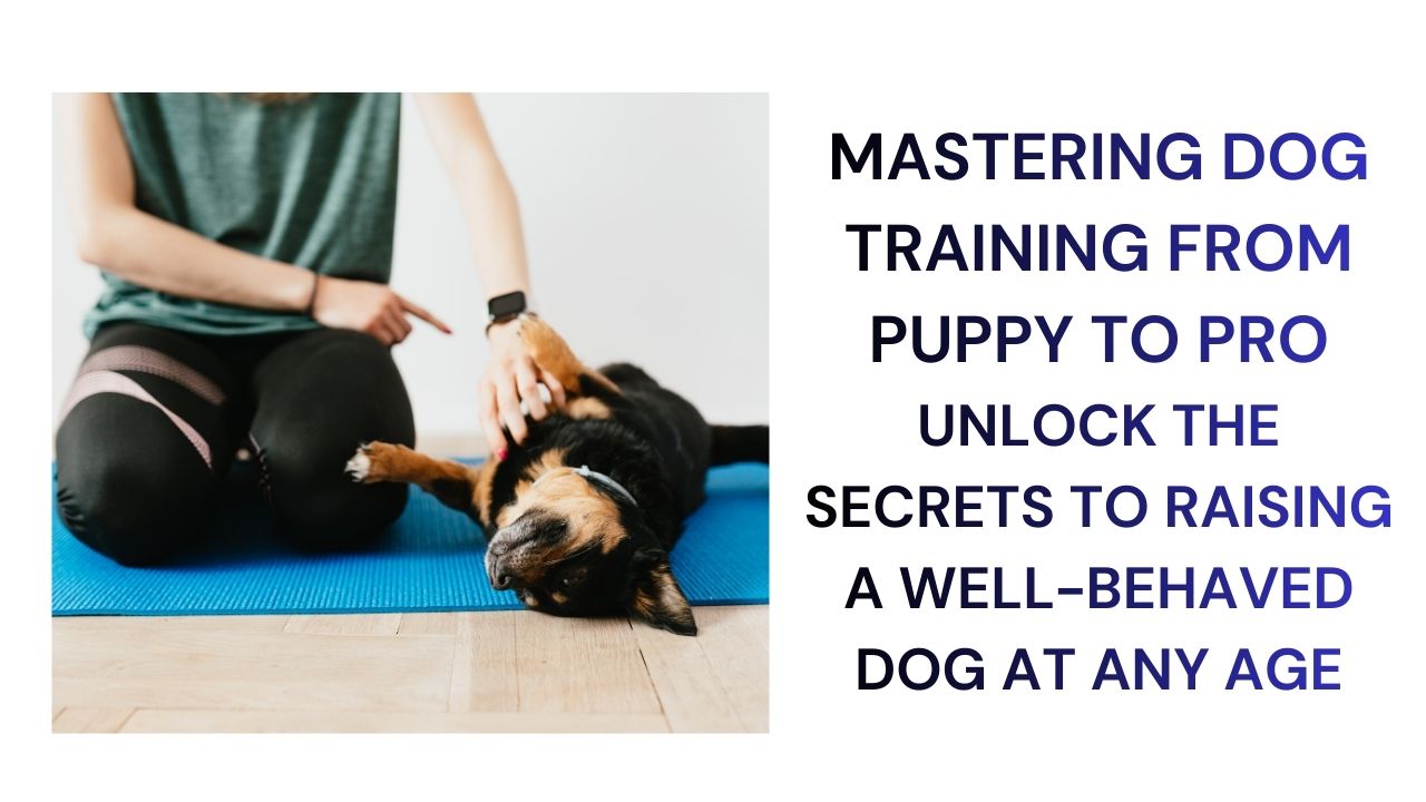 Mastering Dog Training From Puppy to Pro