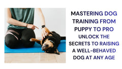 Mastering Dog Training From Puppy to Pro