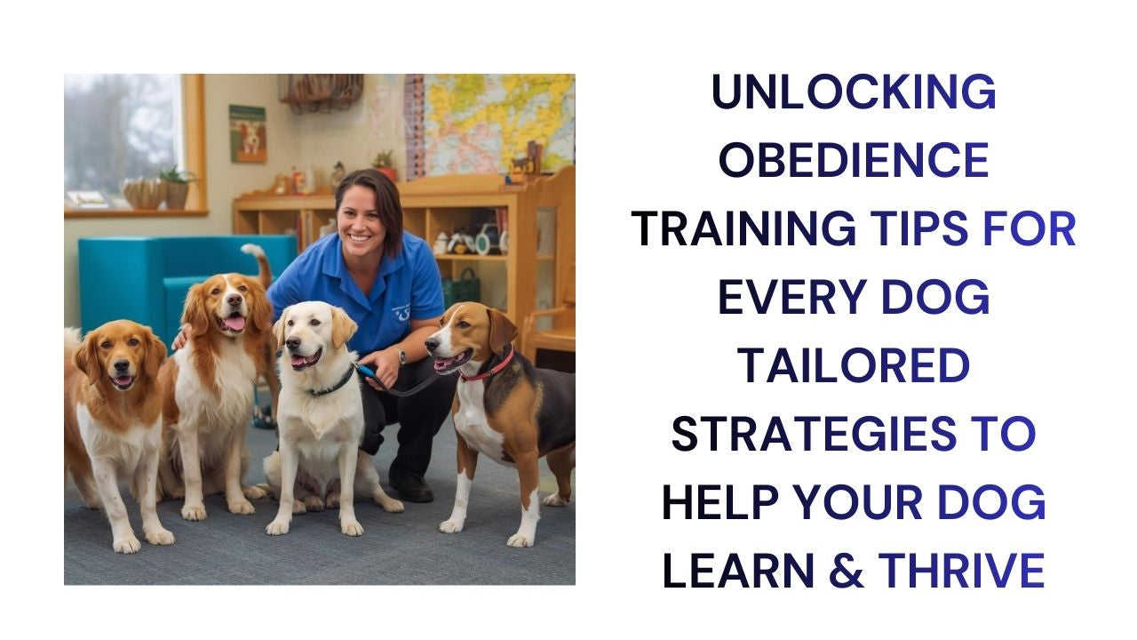 Unlocking Obedience Tailored Dog Training Tips