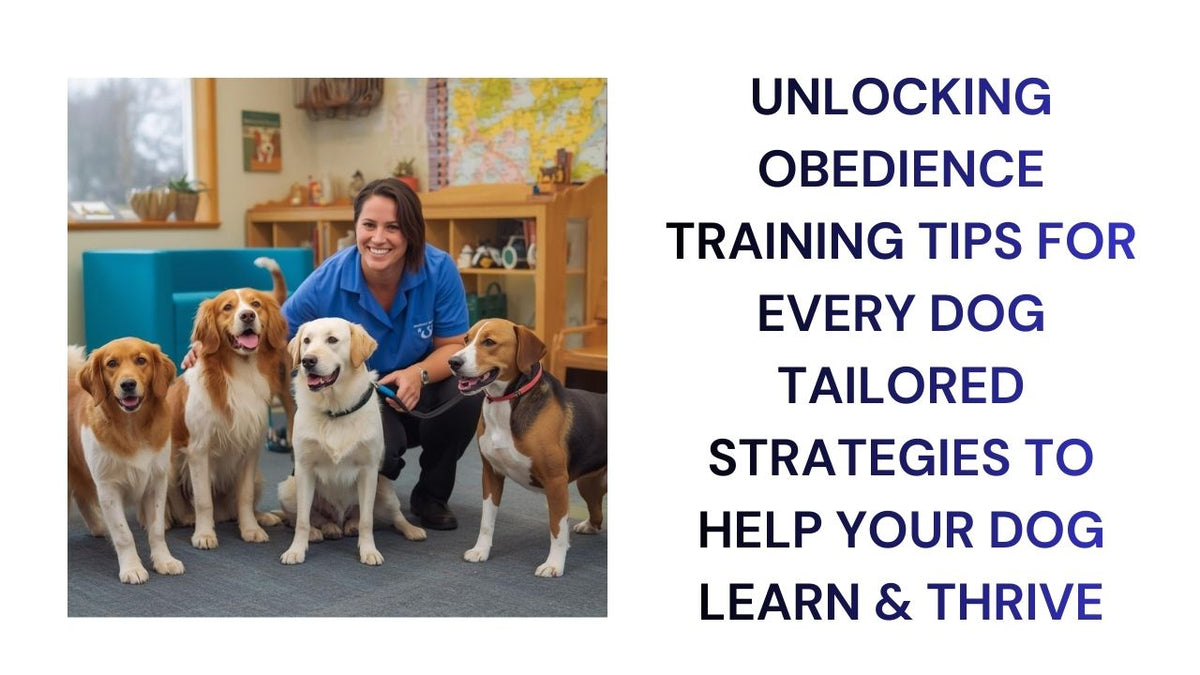 Unlocking Obedience Tailored Dog Training Tips