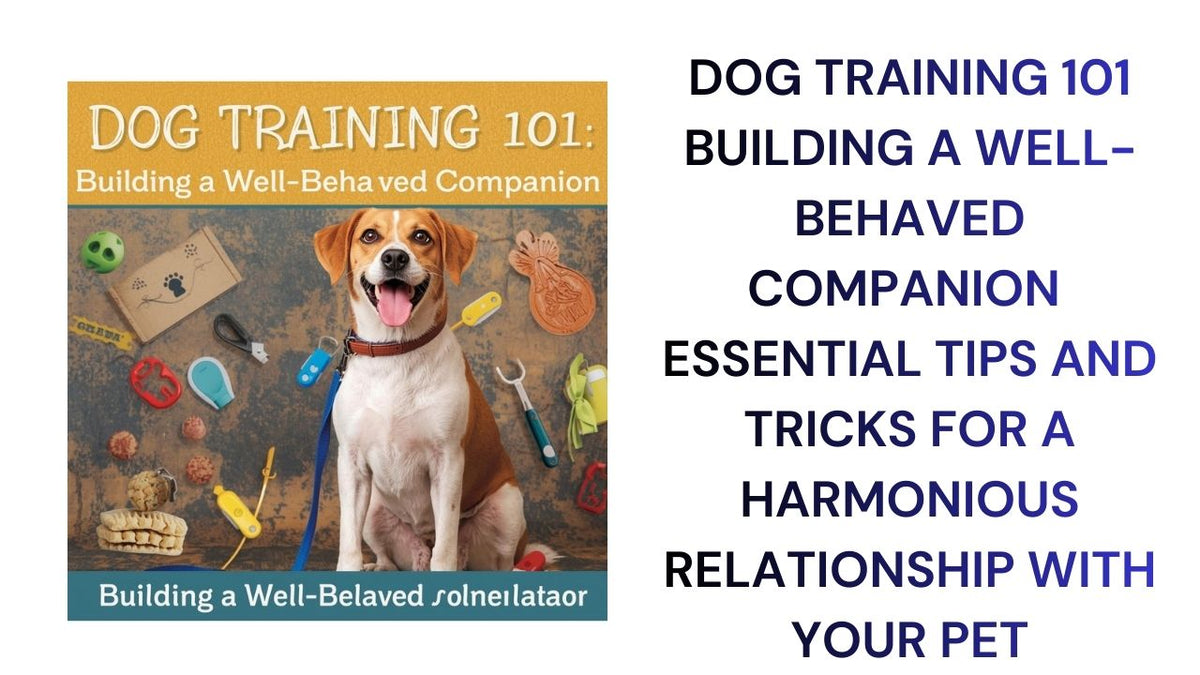 Dog Training 101 Building a Well Behaved Companion