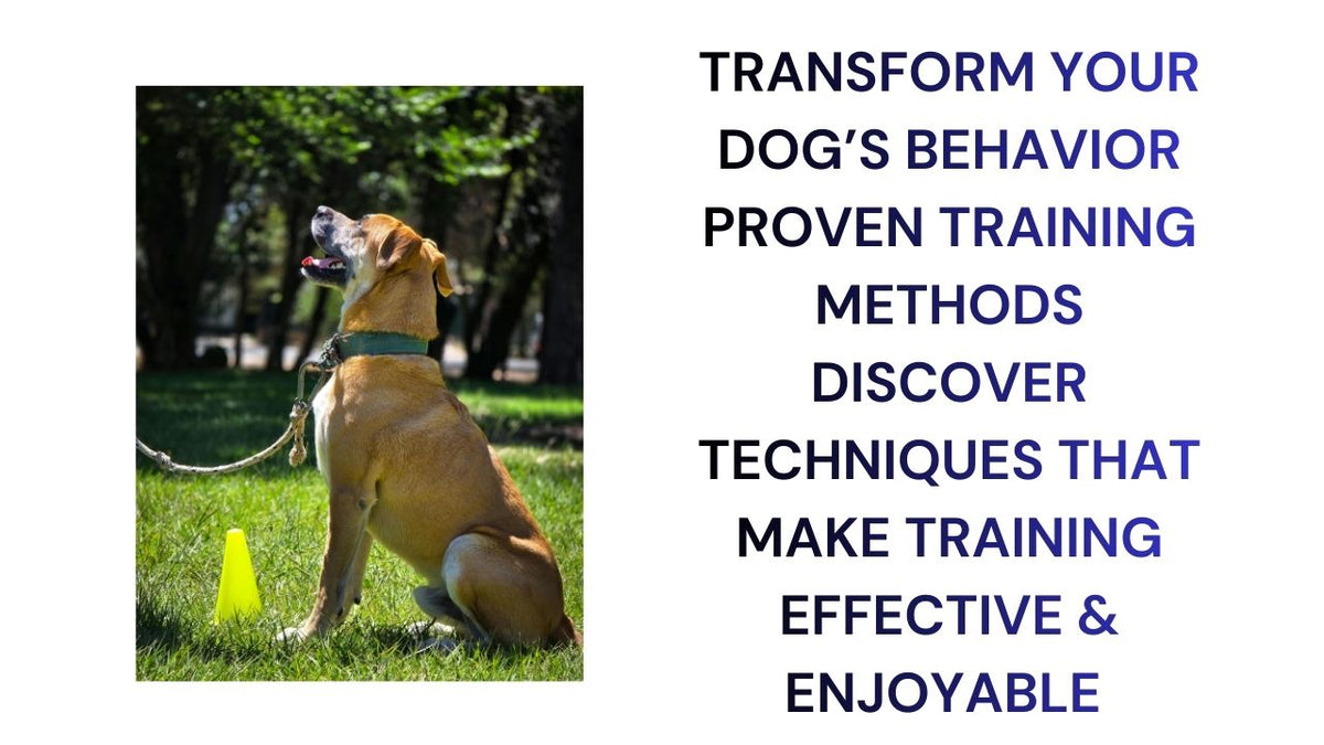 Transform Your Dog's Behavior with Proven Training Methods