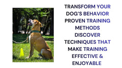 Transform Your Dog's Behavior with Proven Training Methods