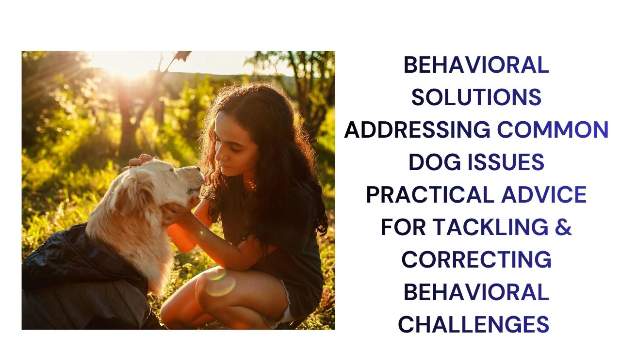 Behavioral Solutions for Dogs Tackling Common Issues
