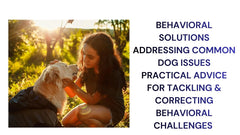 Behavioral Solutions for Dogs Tackling Common Issues