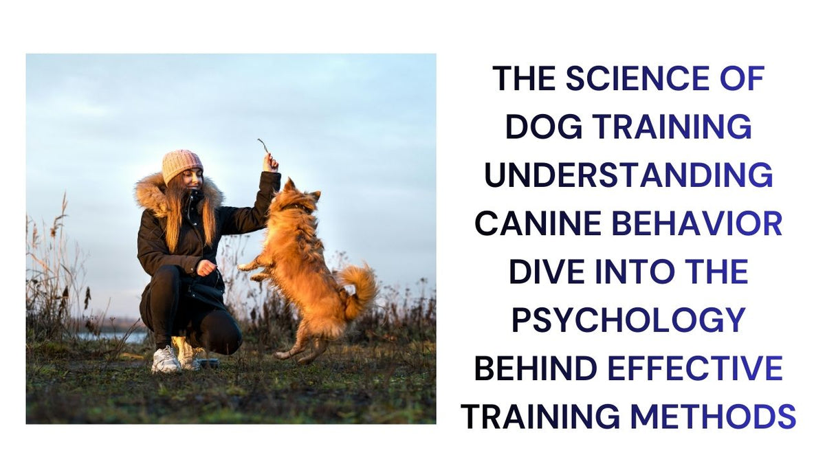 The Science of Dog Training Understanding Canine Behavior