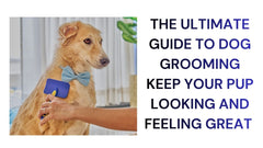 Mastering Dog Grooming Tips & Tricks for a Fawless Pup