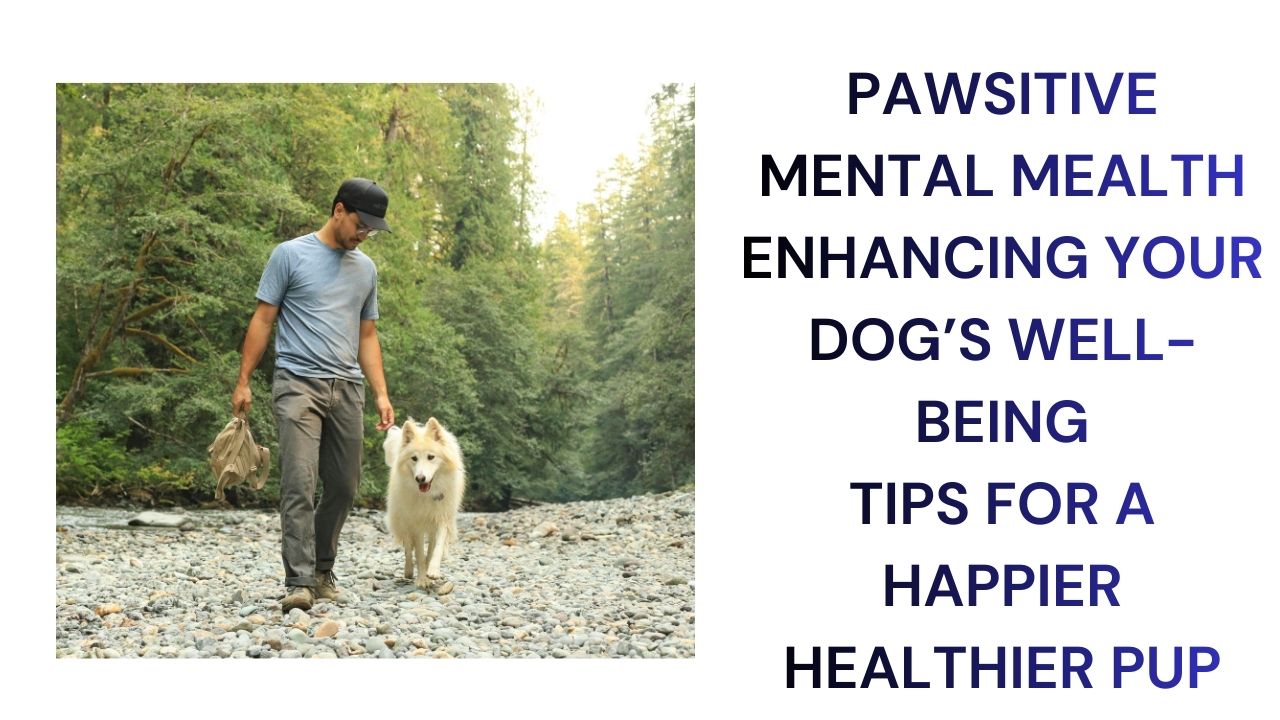 Boost Your Dog's Mental Health Essential Well-Being Tips