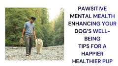 Boost Your Dog's Mental Health Essential Well-Being Tips