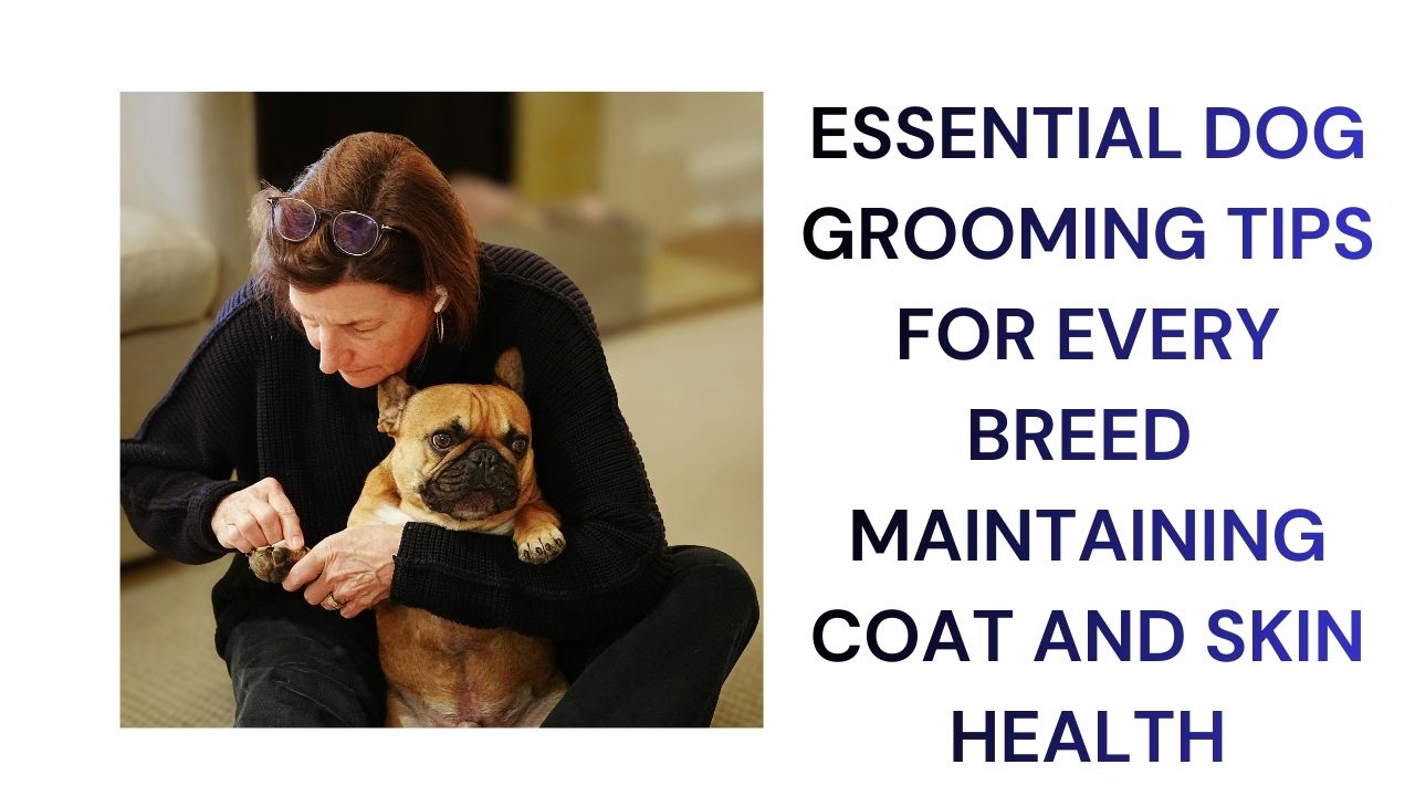 Essential Dog Grooming Tips for Every Breed