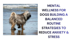 Mental Wellness for Dogs Balanced Routines & Stress Reduction