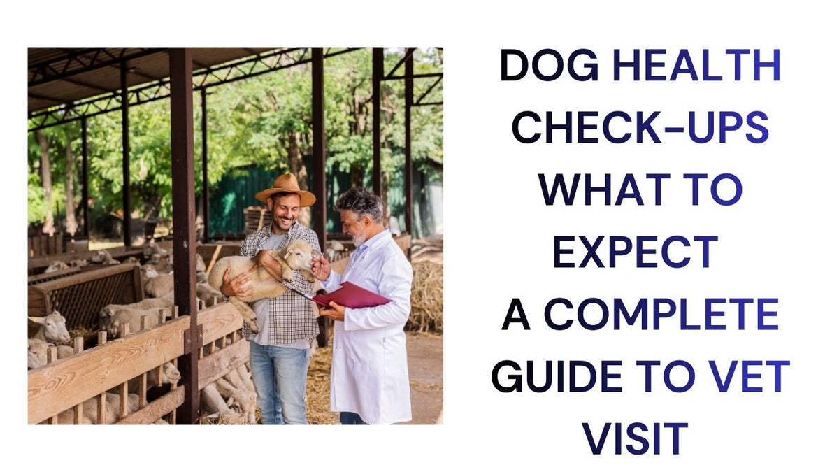 Dog Health Check-Ups What to Expect A Complete Guide to Vet Visit