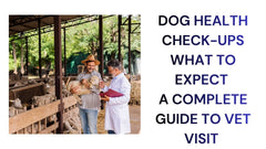 Dog Health Check-Ups What to Expect A Complete Guide to Vet Visit
