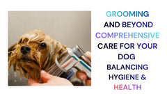 Grooming Beyond Comprehensive Care for Your Dog
