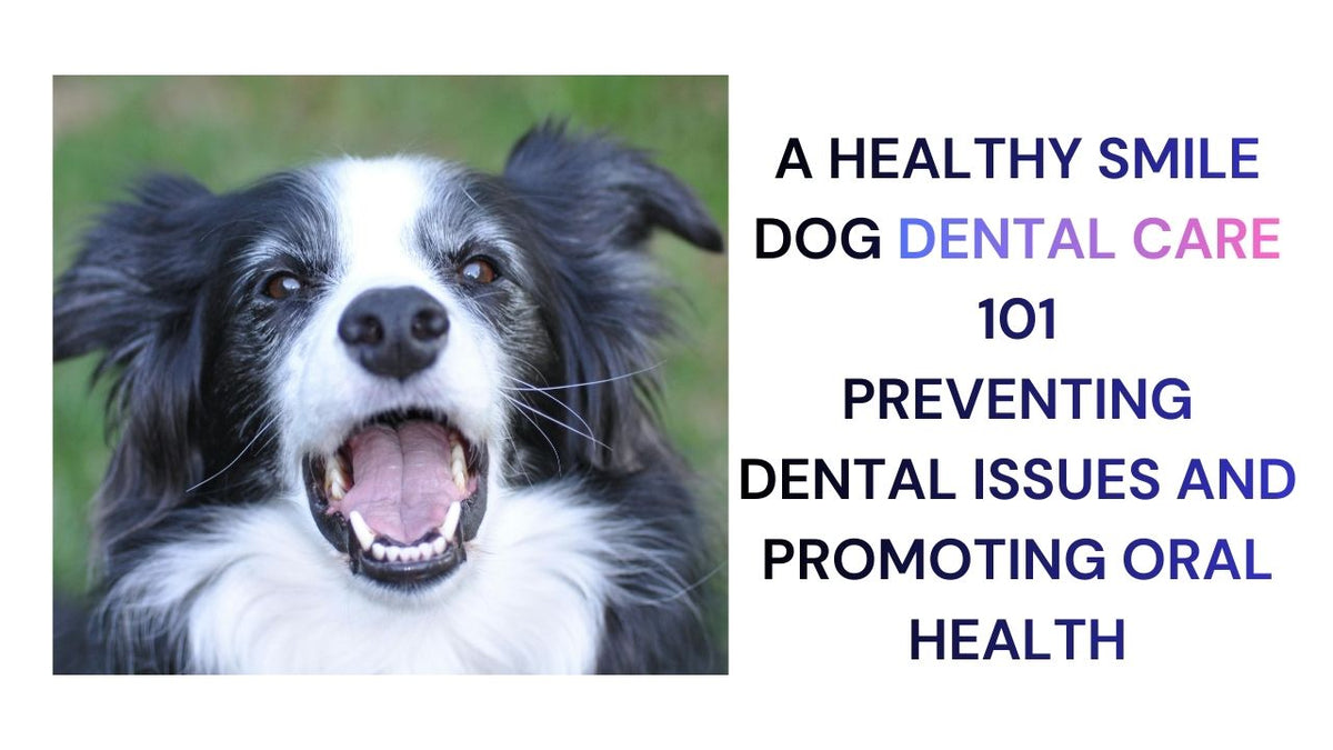 A Healthy Smile Dog Dental Care 101