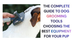 The Complete Guide to Dog Grooming Tools