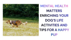 Mental Health Matters Enriching Your Dog's Life and Well-Being