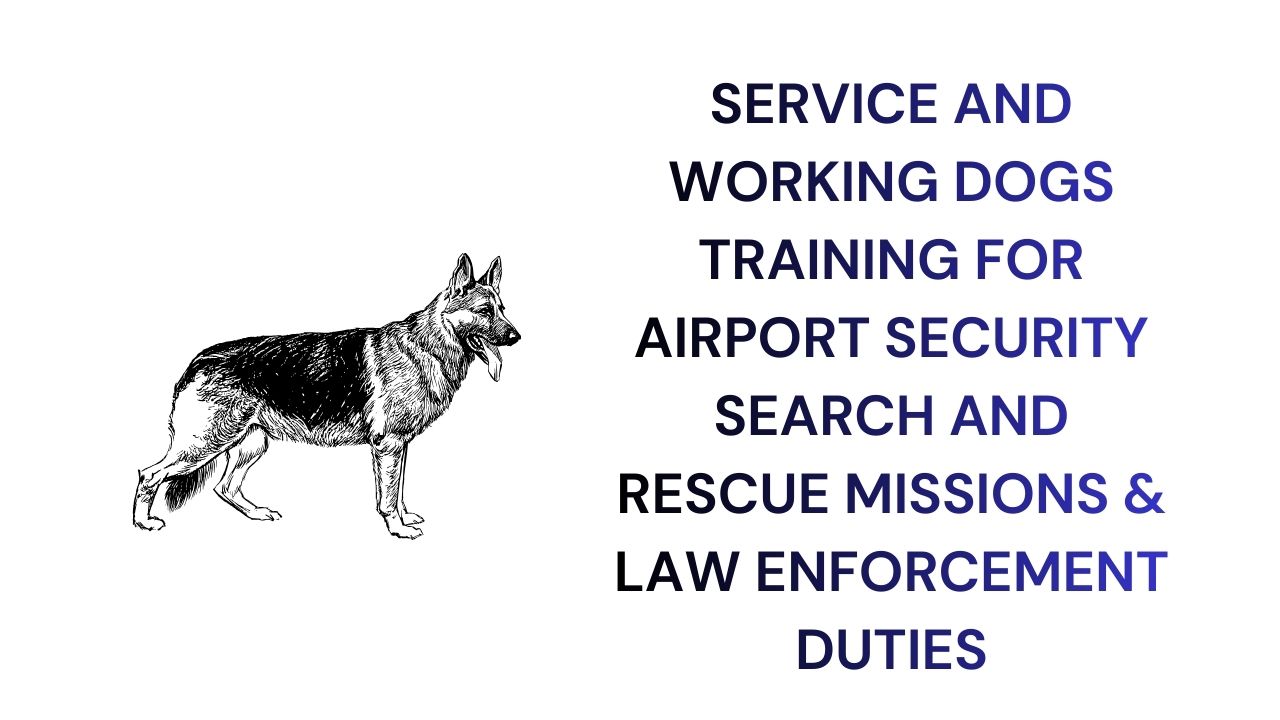 Service and Working Dogs Training for Security Rescue & Law Enforcement