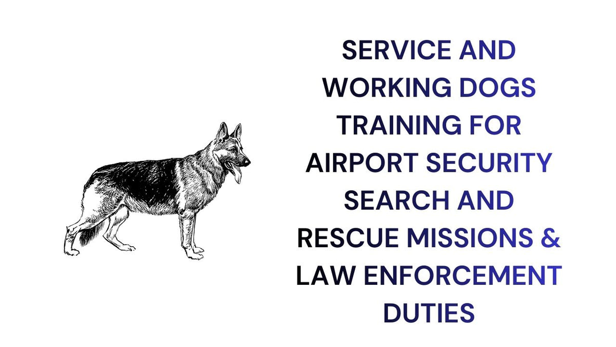Service and Working Dogs Training for Security Rescue & Law Enforcement
