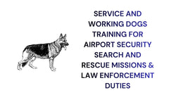 Service and Working Dogs Training for Security Rescue & Law Enforcement