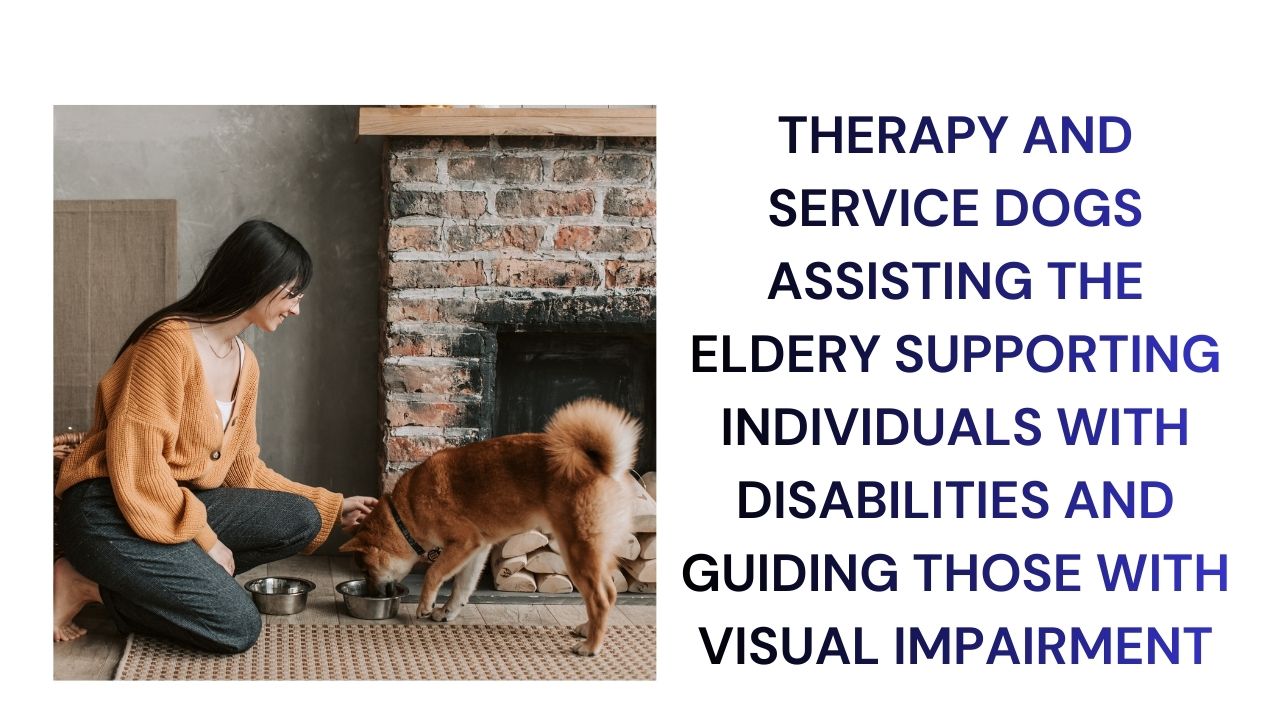 Therapy and Servive Dogs Supporting the Elderly and Assisting Individuals with Disabilities