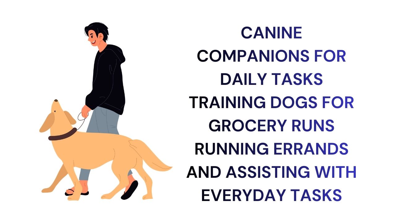 Canine Companions for Daily Tasks Training Dogs for Assistance & Everyday Errands