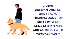 Canine Companions for Daily Tasks Training Dogs for Assistance & Everyday Errands