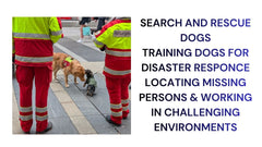 Search & Rescue Dogs Heroes in Action