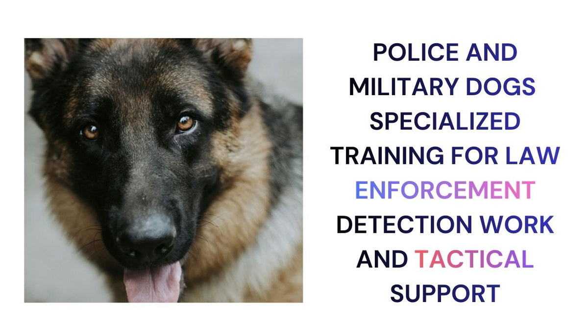 Elite Police  & Military Dogs in Action