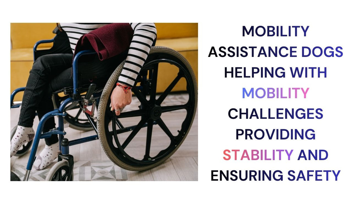 Empowering Lives with Moblity Assistance Dogs