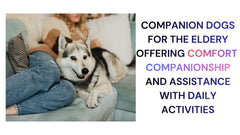 Companion Dogs Enhancing Elderly Lives