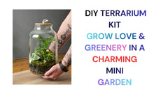 DIY Terrarium Kit