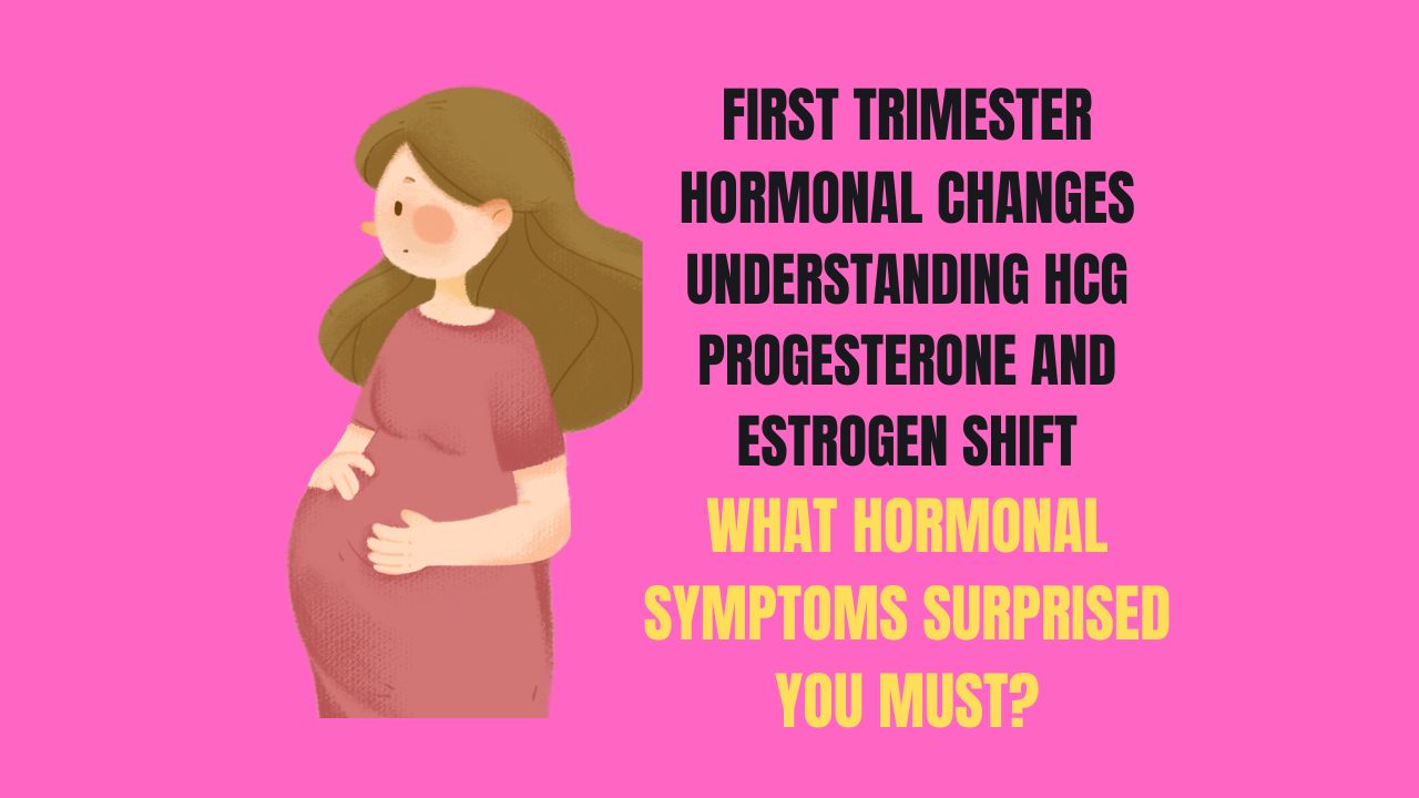 First Trimester Hormonal Changes Understanding HCG Progesterone and Estrogen Shifts