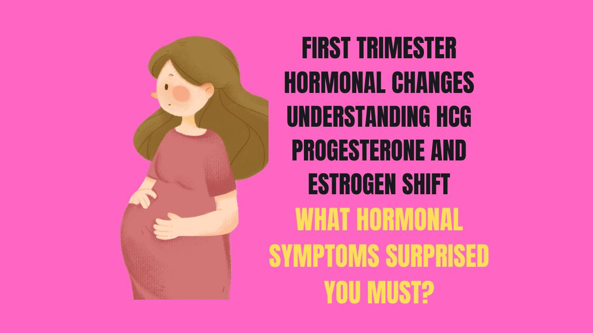 First Trimester Hormonal Changes Understanding HCG Progesterone and Estrogen Shifts