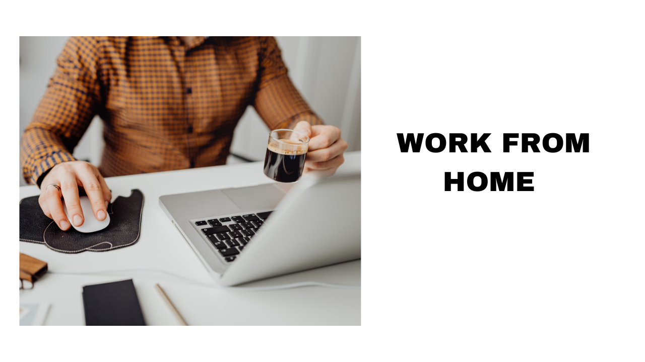 Work From Home Tips Tools and Strategies for a Productive Remote Career