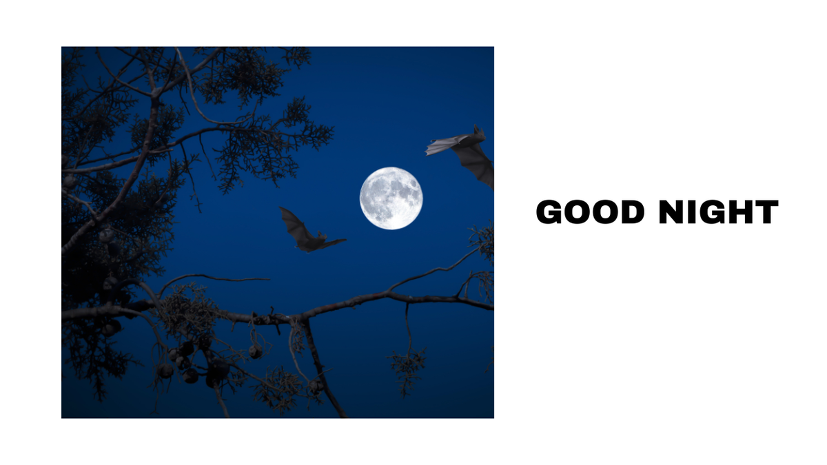 Good Night Embracing the Magic of Nighttime with Bats Moon Tranquil Tress