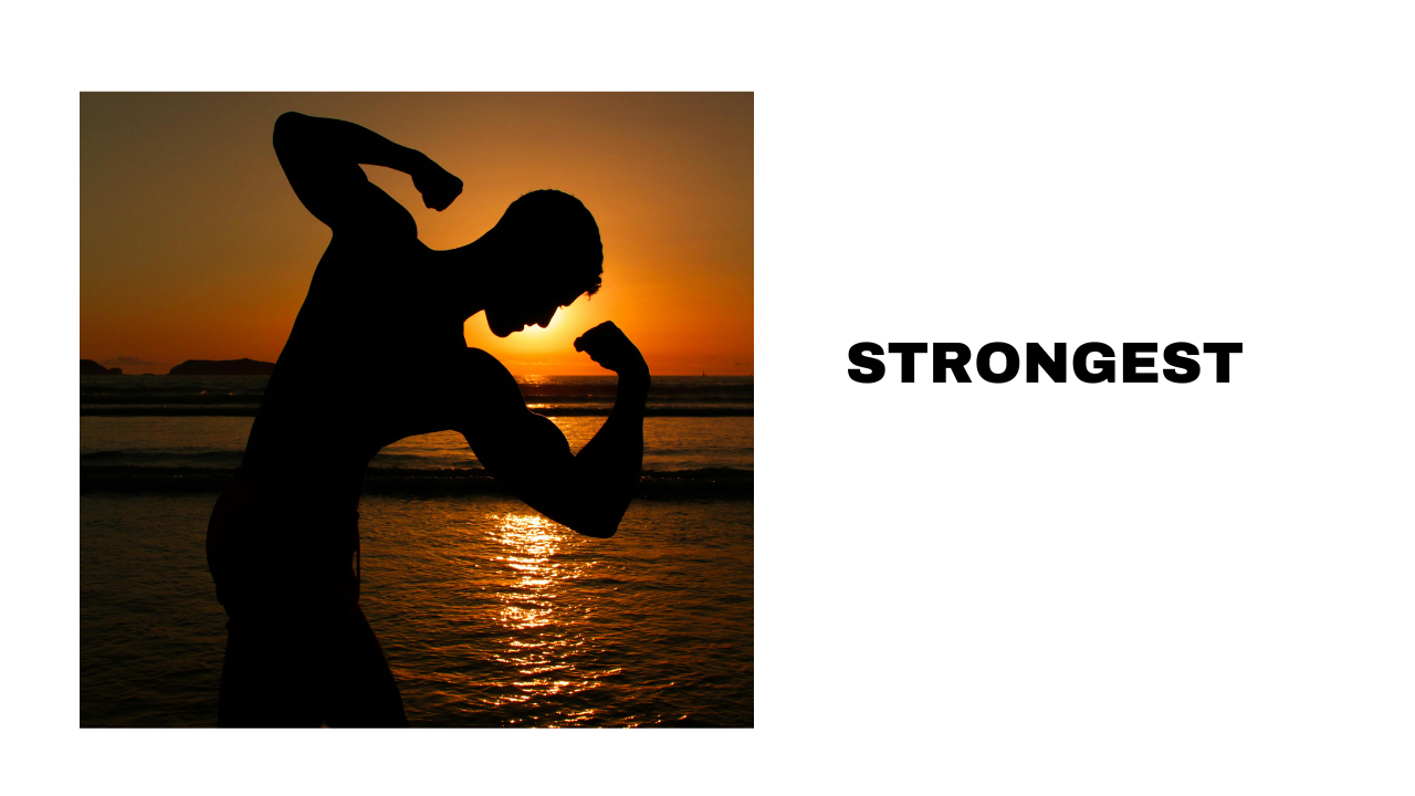 Strongest Unleashing Power at Sunset with Muscles and Moonlit Waves